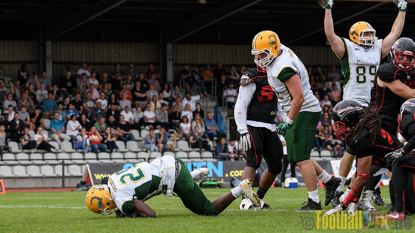Düsseldorf Panther vs. Cologne Crocodiles - 17.09.2016 GFL Nord: Düsseldorf Panther vs. Cologne Crocodiles (0:34)