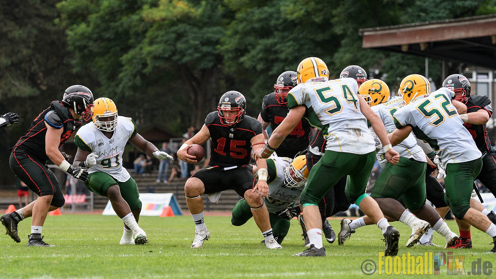 Düsseldorf Panther vs. Cologne Crocodiles - 17.09.2016 GFL Nord: Düsseldorf Panther vs. Cologne Crocodiles (0:34)