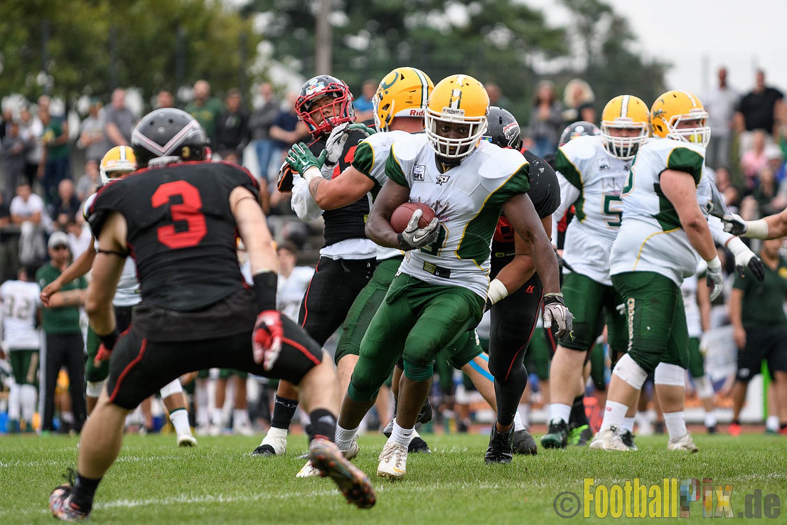 Düsseldorf Panther vs. Cologne Crocodiles - 17.09.2016 GFL Nord: Düsseldorf Panther vs. Cologne Crocodiles (0:34)