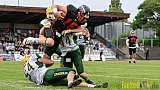Düsseldorf Panther vs. Cologne Crocodiles - 17.09.2016 GFL Nord: Düsseldorf Panther vs. Cologne Crocodiles (0:34)