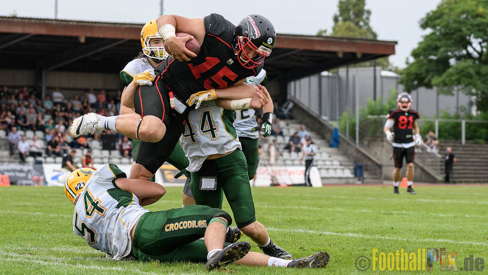 Düsseldorf Panther vs. Cologne Crocodiles - 17.09.2016 GFL Nord: Düsseldorf Panther vs. Cologne Crocodiles (0:34)