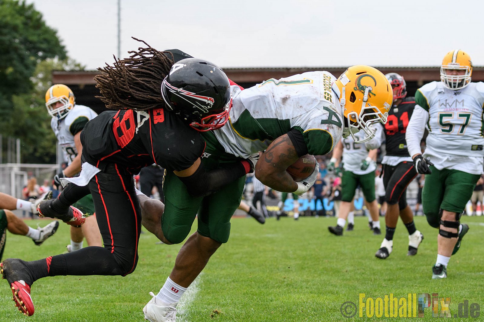 Düsseldorf Panther vs. Cologne Crocodiles - 17.09.2016 GFL Nord: Düsseldorf Panther vs. Cologne Crocodiles (0:34)