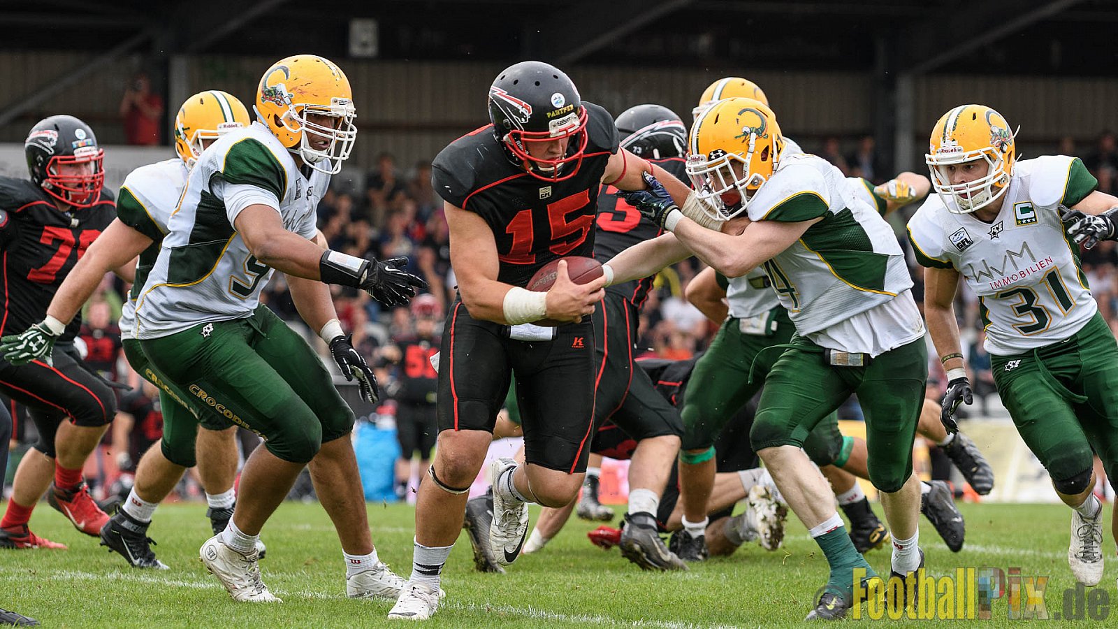 Düsseldorf Panther vs. Cologne Crocodiles - 17.09.2016 GFL Nord: Düsseldorf Panther vs. Cologne Crocodiles (0:34)