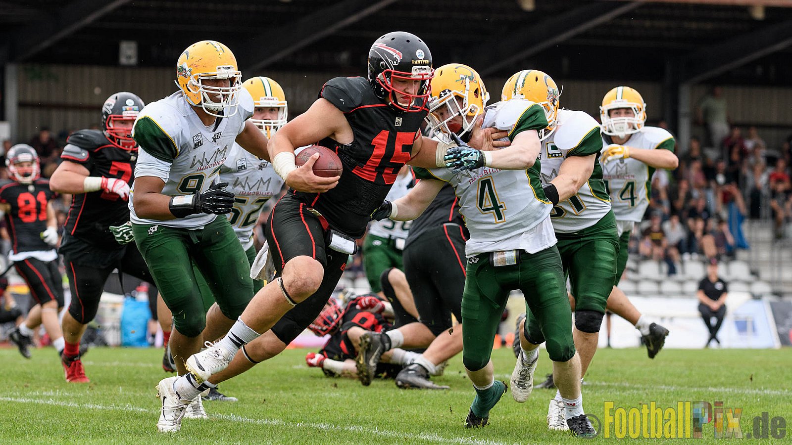 Düsseldorf Panther vs. Cologne Crocodiles - 17.09.2016 GFL Nord: Düsseldorf Panther vs. Cologne Crocodiles (0:34)