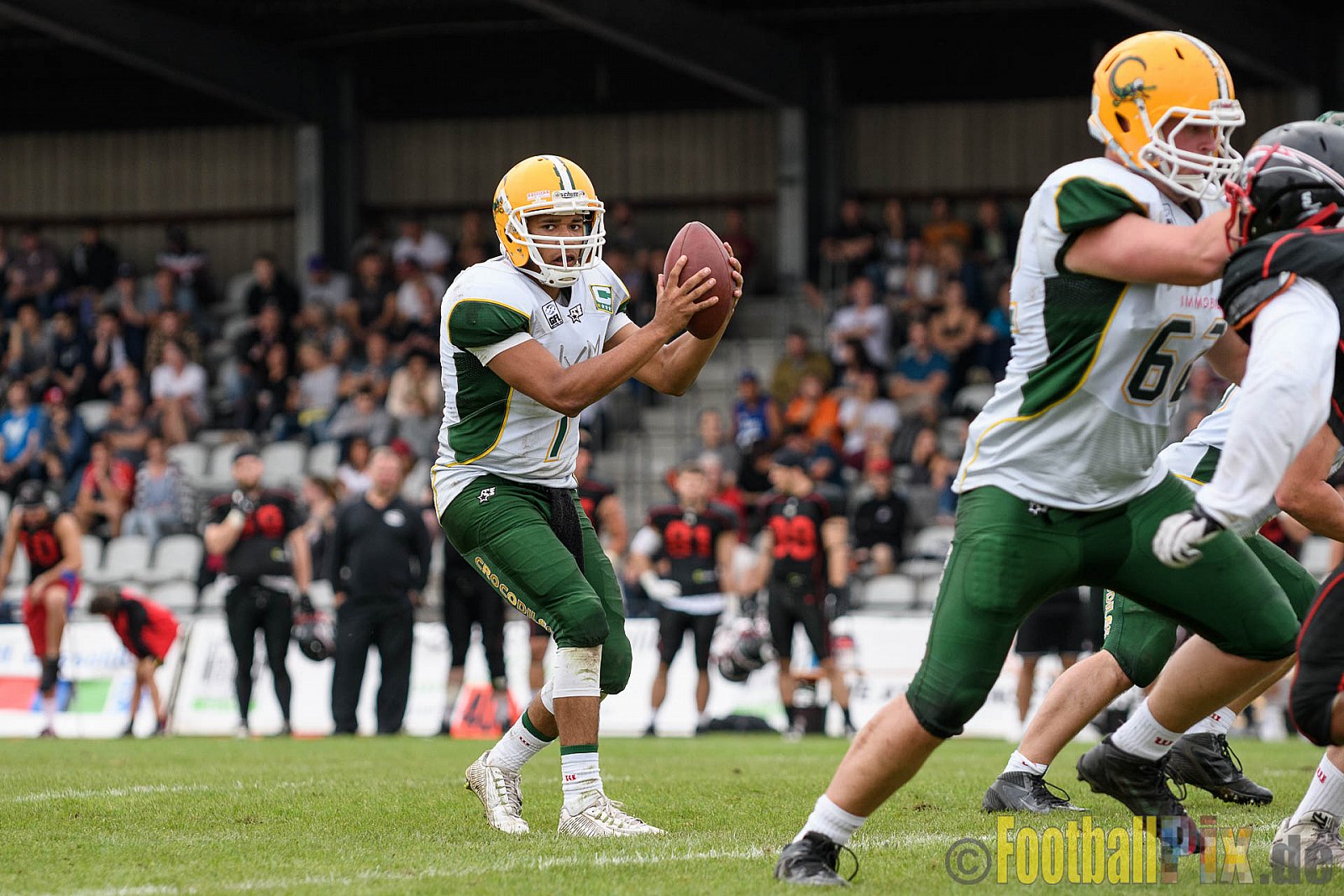 Düsseldorf Panther vs. Cologne Crocodiles - 17.09.2016 GFL Nord: Düsseldorf Panther vs. Cologne Crocodiles (0:34)