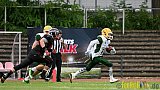 Düsseldorf Panther vs. Cologne Crocodiles - 17.09.2016 GFL Nord: Düsseldorf Panther vs. Cologne Crocodiles (0:34)