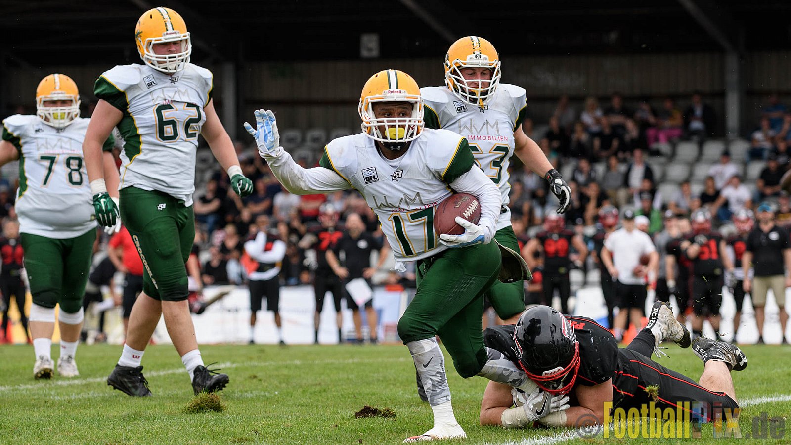 Düsseldorf Panther vs. Cologne Crocodiles - 17.09.2016 GFL Nord: Düsseldorf Panther vs. Cologne Crocodiles (0:34)