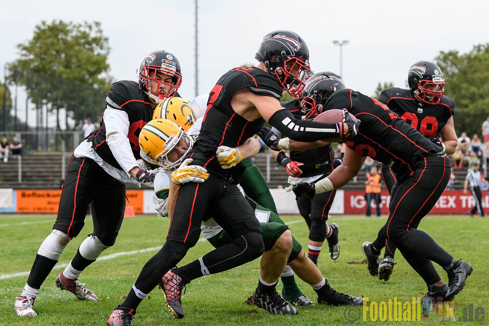 Düsseldorf Panther vs. Cologne Crocodiles - 17.09.2016 GFL Nord: Düsseldorf Panther vs. Cologne Crocodiles (0:34)