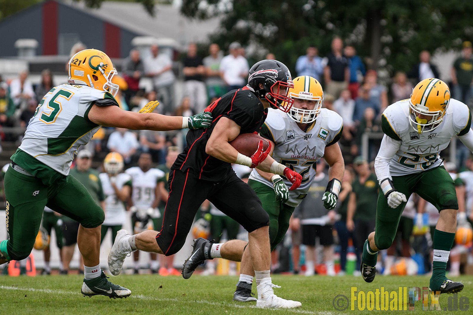 Düsseldorf Panther vs. Cologne Crocodiles - 17.09.2016 GFL Nord: Düsseldorf Panther vs. Cologne Crocodiles (0:34)