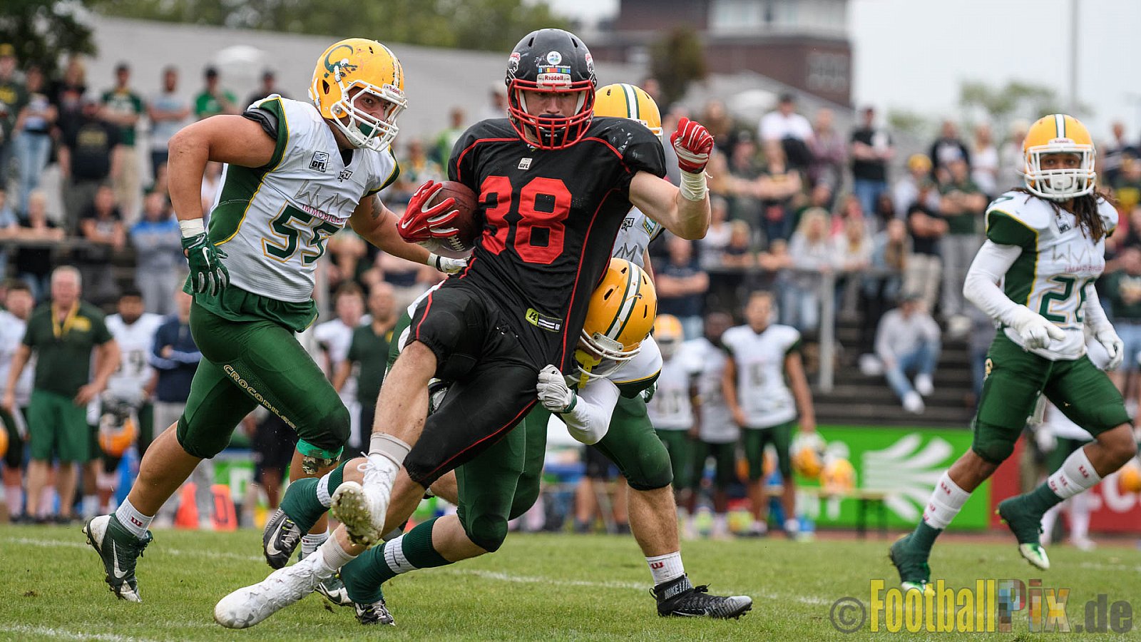 Düsseldorf Panther vs. Cologne Crocodiles - 17.09.2016 GFL Nord: Düsseldorf Panther vs. Cologne Crocodiles (0:34)