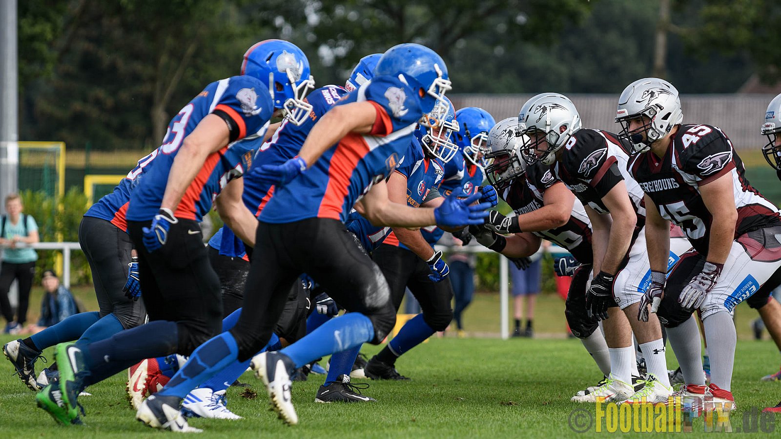 Bocholt Rhinos vs. Wuppertal Greyhounds - 18.09.2016 VL NRW: Bocholt Rhinos vs. Wuppertal Greyhounds (12:53)