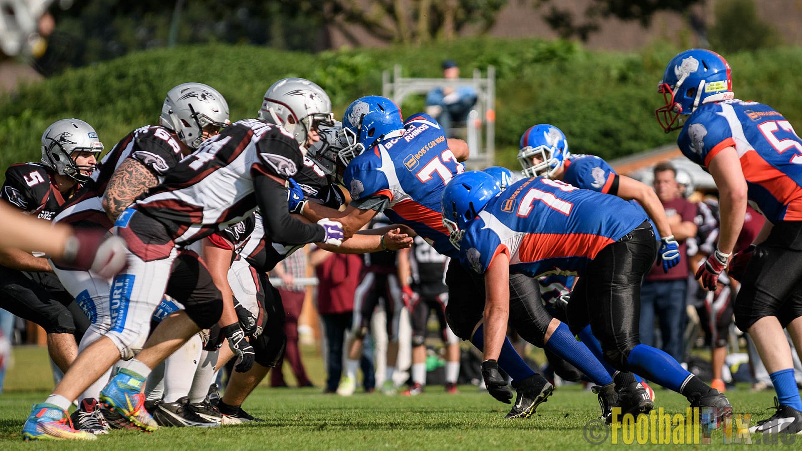 Bocholt Rhinos vs. Wuppertal Greyhounds - 18.09.2016 VL NRW: Bocholt Rhinos vs. Wuppertal Greyhounds (12:53)