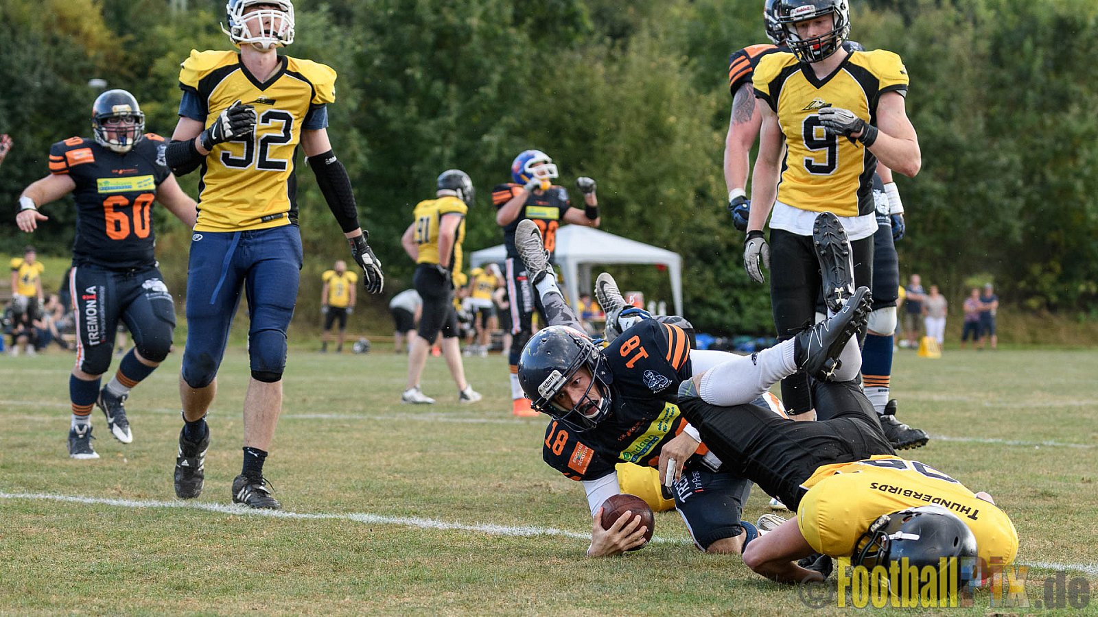 Kerpen Bears vs. Duisburg Thunderbirds - 25.09.2016 VL NRW: Kerpen Bears vs. Duisburg Thunderbirds (7:28)