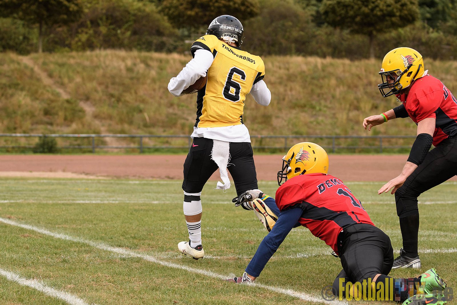 Duisburg Thunderbirds vs. Düren Demons - 02.10.2016 VL NRW: Duisburg Thunderbirds vs. Düren Demons (42:0)