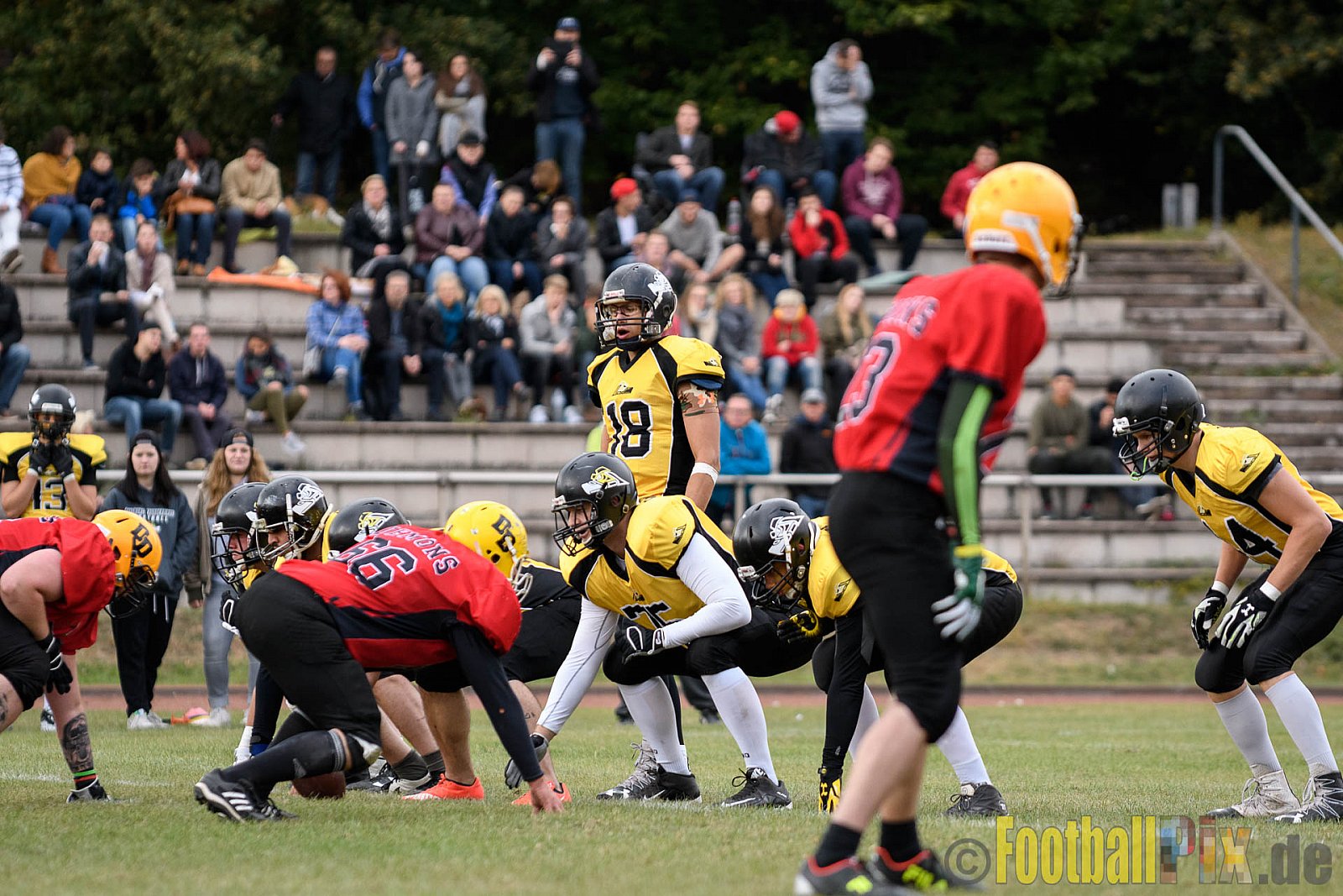 Duisburg Thunderbirds vs. Düren Demons - 02.10.2016 VL NRW: Duisburg Thunderbirds vs. Düren Demons (42:0)
