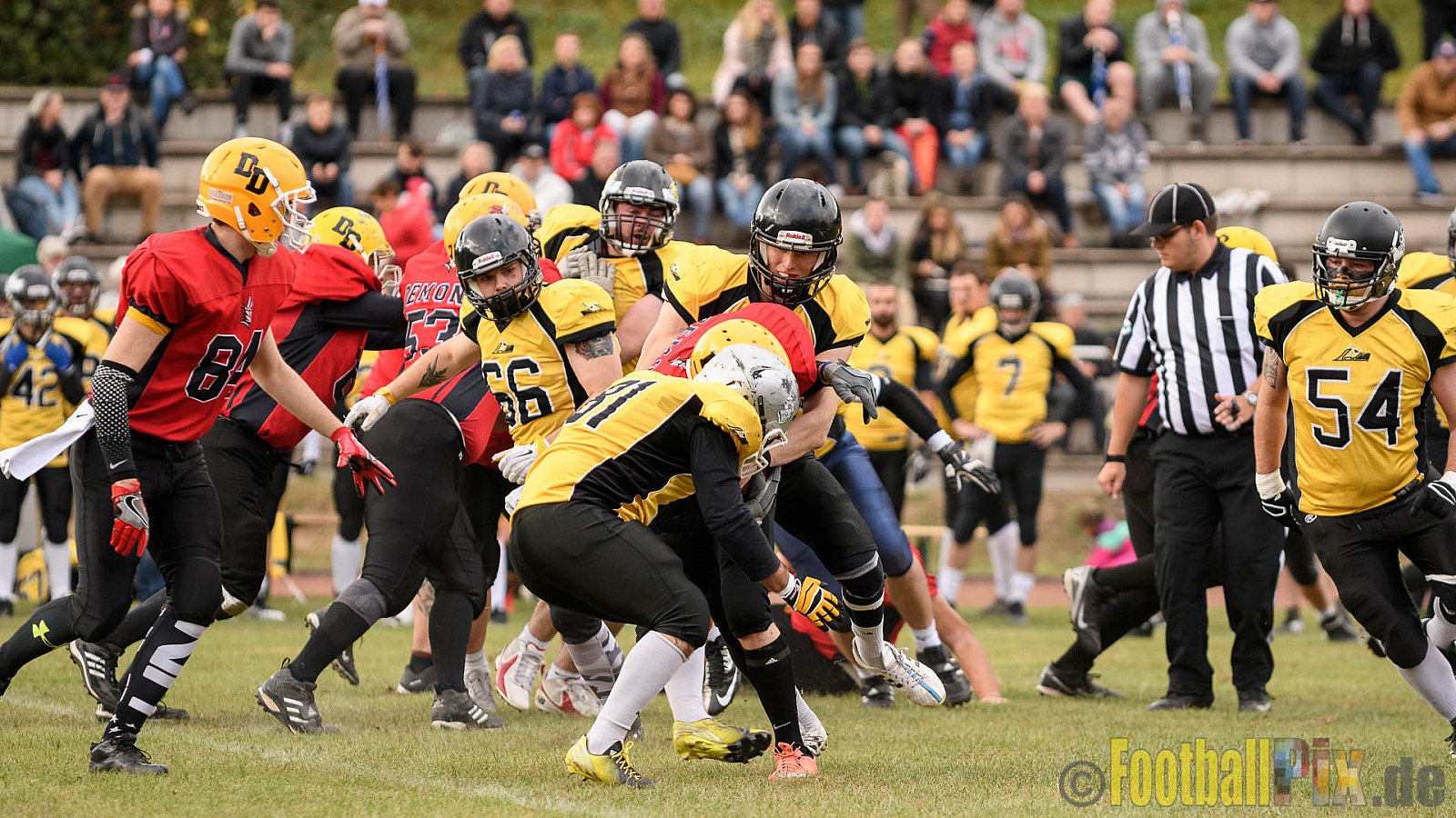 Duisburg Thunderbirds vs. Düren Demons - 02.10.2016 VL NRW: Duisburg Thunderbirds vs. Düren Demons (42:0)