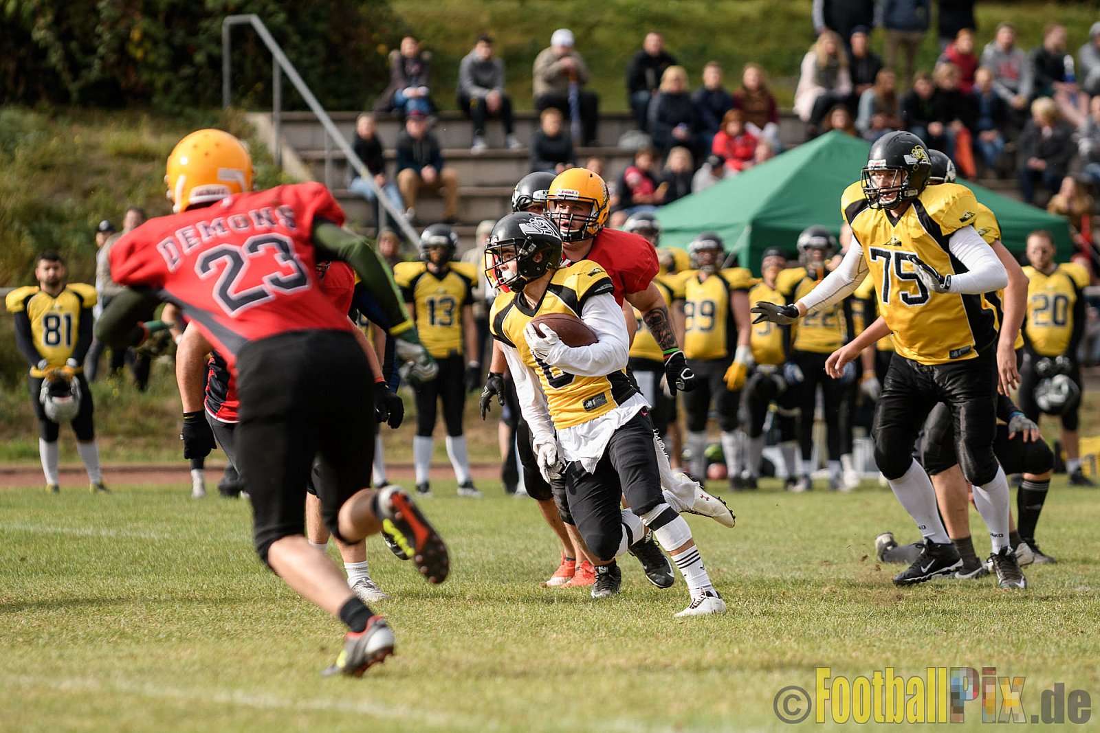 Duisburg Thunderbirds vs. Düren Demons - 02.10.2016 VL NRW: Duisburg Thunderbirds vs. Düren Demons (42:0)