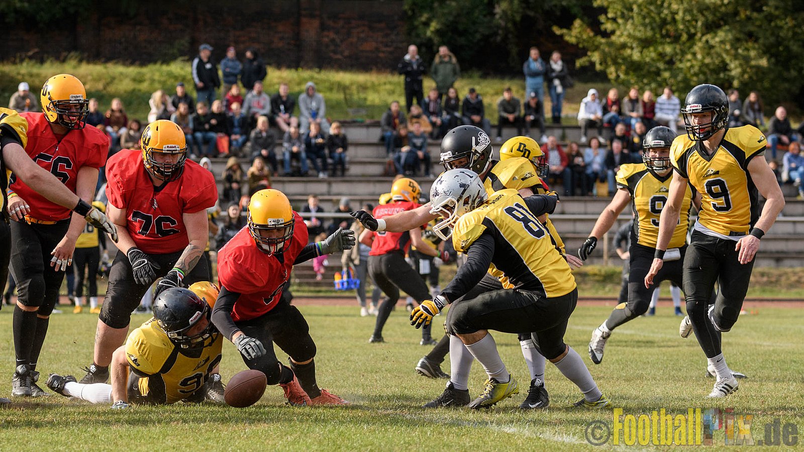 Duisburg Thunderbirds vs. Düren Demons - 02.10.2016 VL NRW: Duisburg Thunderbirds vs. Düren Demons (42:0)