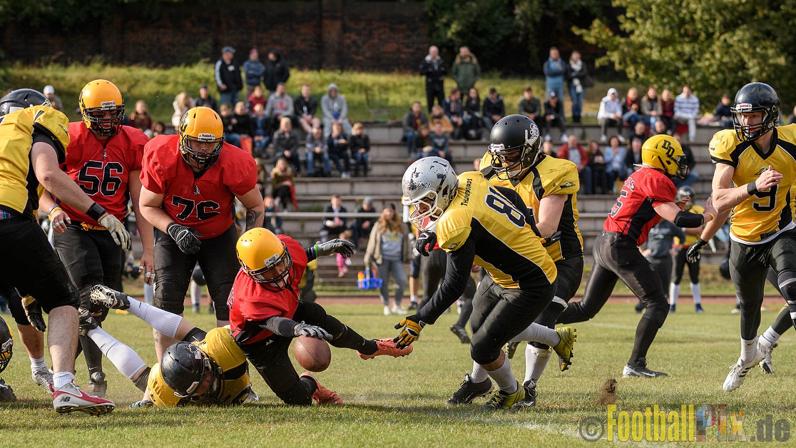 Duisburg Thunderbirds vs. Düren Demons - 02.10.2016 VL NRW: Duisburg Thunderbirds vs. Düren Demons (42:0)