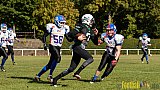 Mülheim Shamrocks Herren vs. Bocholt Rhinos - 03.10.2016 VL NRW: Mülheim Shamrocks Herren vs. Bocholt Rhinos (35:20)