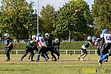 Mülheim Shamrocks Herren vs. Bocholt Rhinos - 03.10.2016 VL NRW: Mülheim Shamrocks Herren vs. Bocholt Rhinos (35:20)