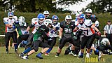 Mülheim Shamrocks Herren vs. Bocholt Rhinos - 03.10.2016 VL NRW: Mülheim Shamrocks Herren vs. Bocholt Rhinos (35:20)