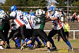 Mülheim Shamrocks Herren vs. Bocholt Rhinos - 03.10.2016 VL NRW: Mülheim Shamrocks Herren vs. Bocholt Rhinos (35:20)