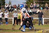 Mülheim Shamrocks Herren vs. Bocholt Rhinos - 03.10.2016 VL NRW: Mülheim Shamrocks Herren vs. Bocholt Rhinos (35:20)