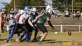 Mülheim Shamrocks Herren vs. Bocholt Rhinos - 03.10.2016 VL NRW: Mülheim Shamrocks Herren vs. Bocholt Rhinos (35:20)