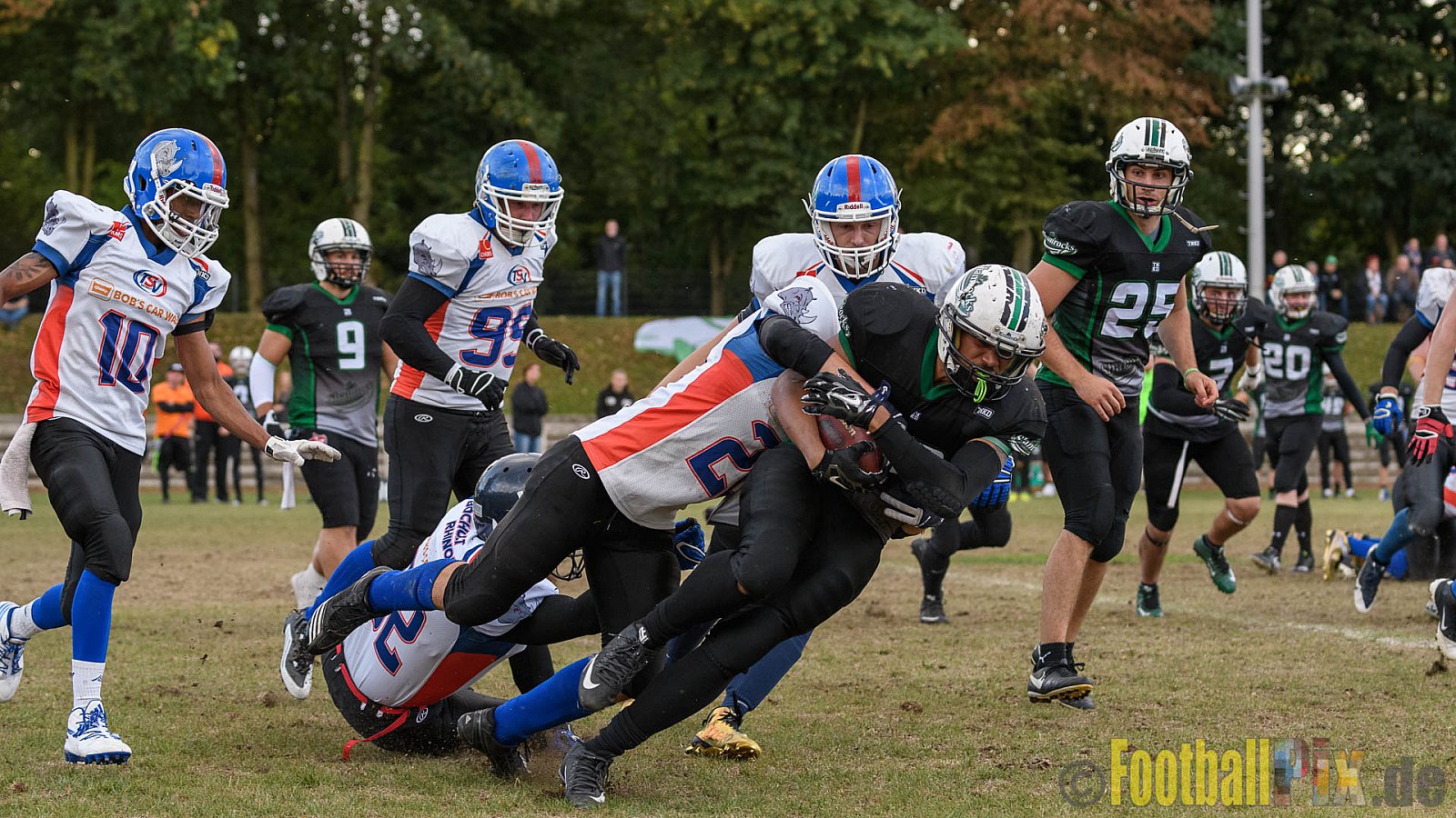 Mülheim Shamrocks Herren vs. Bocholt Rhinos - 03.10.2016 VL NRW: Mülheim Shamrocks Herren vs. Bocholt Rhinos (35:20)