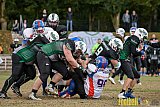 Mülheim Shamrocks Herren vs. Bocholt Rhinos - 03.10.2016 VL NRW: Mülheim Shamrocks Herren vs. Bocholt Rhinos (35:20)