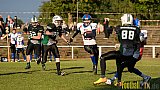 Mülheim Shamrocks Herren vs. Bocholt Rhinos - 03.10.2016 VL NRW: Mülheim Shamrocks Herren vs. Bocholt Rhinos (35:20)