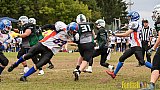 Mülheim Shamrocks Herren vs. Bocholt Rhinos - 03.10.2016 VL NRW: Mülheim Shamrocks Herren vs. Bocholt Rhinos (35:20)