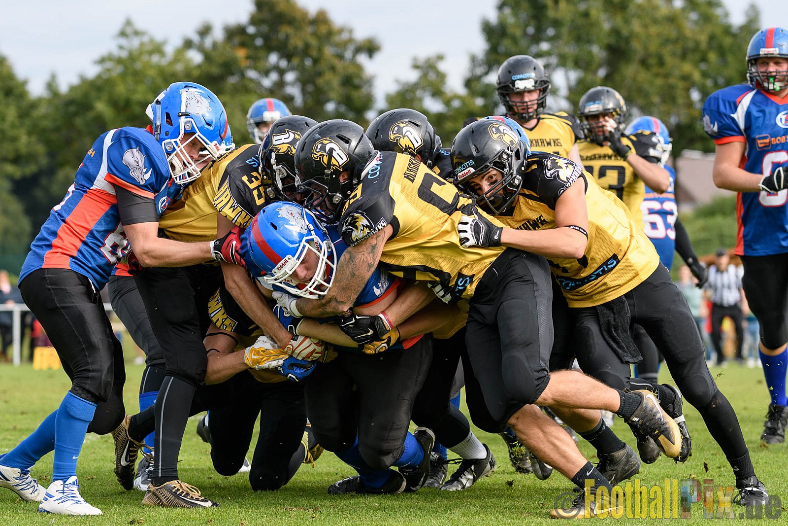 Bocholt Rhinos vs. Münster Blackhawks - 09.10.2016 VL NRW: Bocholt Rhinos vs. Münster Blackhawks (0:41)
