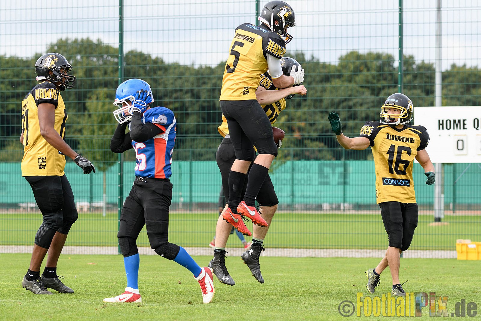Bocholt Rhinos vs. Münster Blackhawks - 09.10.2016 VL NRW: Bocholt Rhinos vs. Münster Blackhawks (0:41)