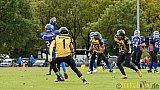 Bocholt Rhinos vs. Münster Blackhawks - 09.10.2016 VL NRW: Bocholt Rhinos vs. Münster Blackhawks (0:41)