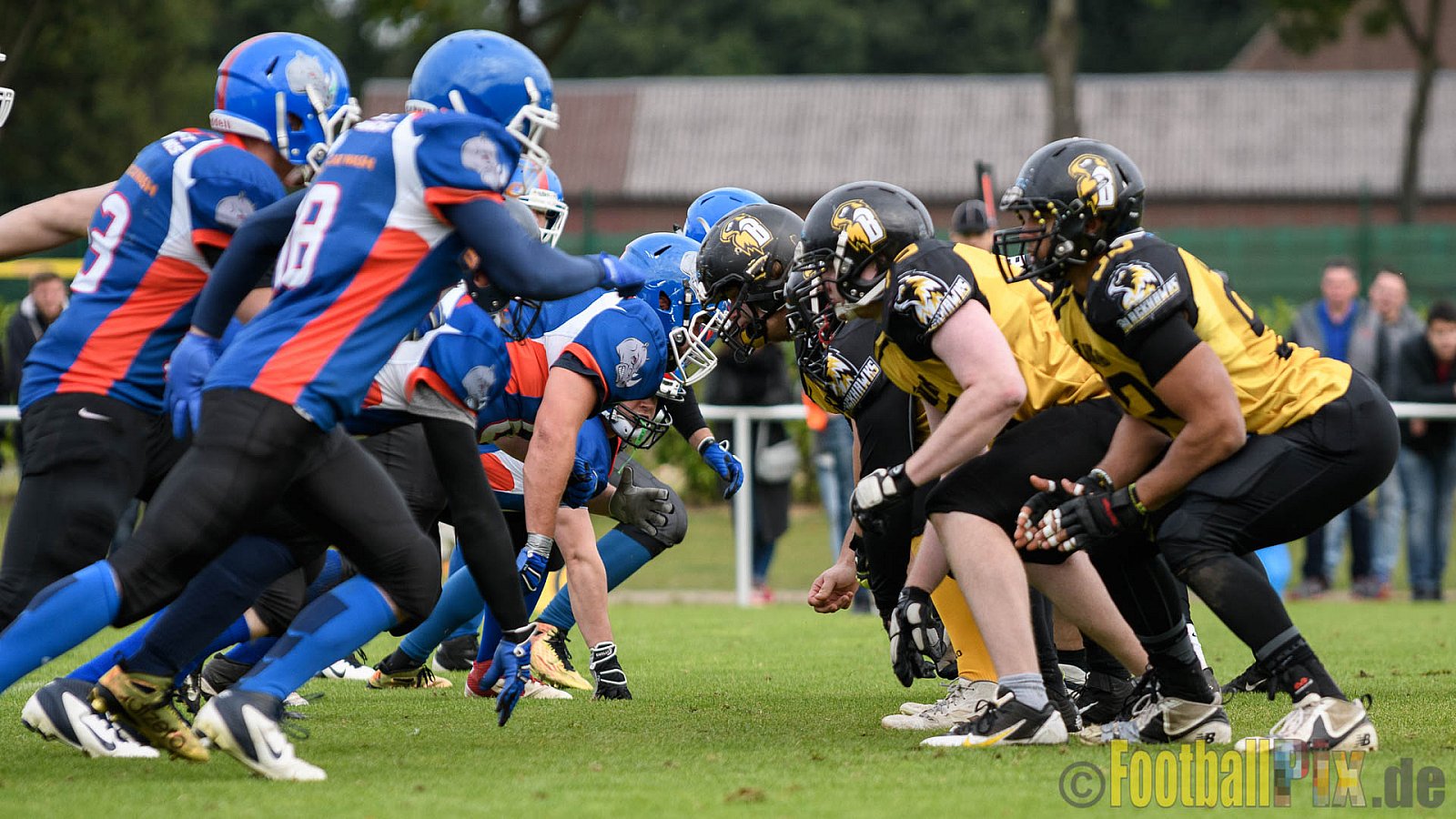 Bocholt Rhinos vs. Münster Blackhawks - 09.10.2016 VL NRW: Bocholt Rhinos vs. Münster Blackhawks (0:41)