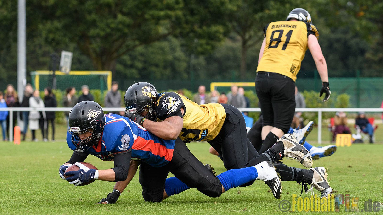 Bocholt Rhinos vs. Münster Blackhawks - 09.10.2016 VL NRW: Bocholt Rhinos vs. Münster Blackhawks (0:41)
