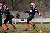 Limburg Shotguns vs. Waasland Wolves - 19.02.2017 Season Opener (FAFL Belgien): Limburg Shotguns vs. Waasland Wolves (44:0)