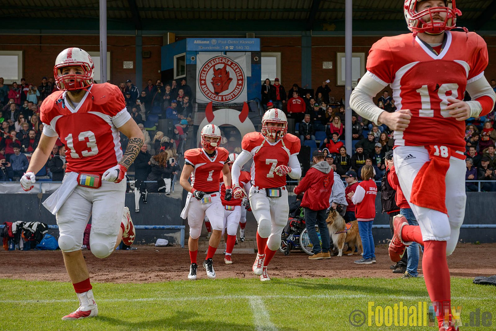 Gelsenkirchen Devils vs. Wuppertal Greyhounds - 15.04.2017 Pre-Season Game: Gelsenkirchen Devils vs. Wuppertal Greyhounds (23:16)