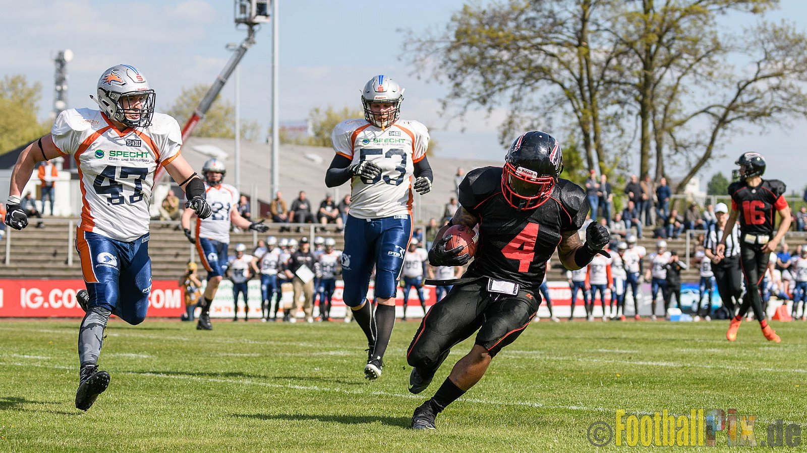Düsseldorf Panther vs. Rostock Griffins - 29.04.2017 GFL2: Düsseldorf Panther vs. Rostock Griffins (39:14)