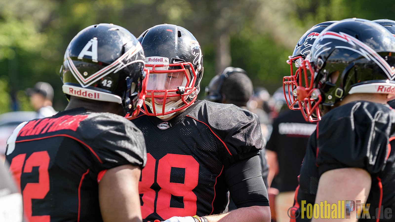 Düsseldorf Panther vs. Rostock Griffins - 29.04.2017 GFL2: Düsseldorf Panther vs. Rostock Griffins (39:14)