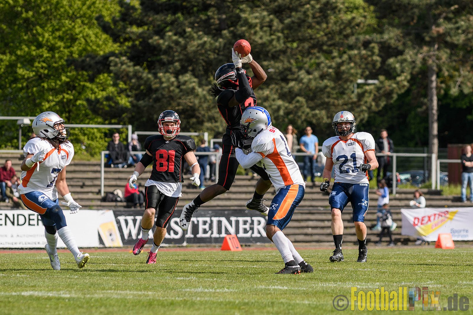Düsseldorf Panther vs. Rostock Griffins - 29.04.2017 GFL2: Düsseldorf Panther vs. Rostock Griffins (39:14)