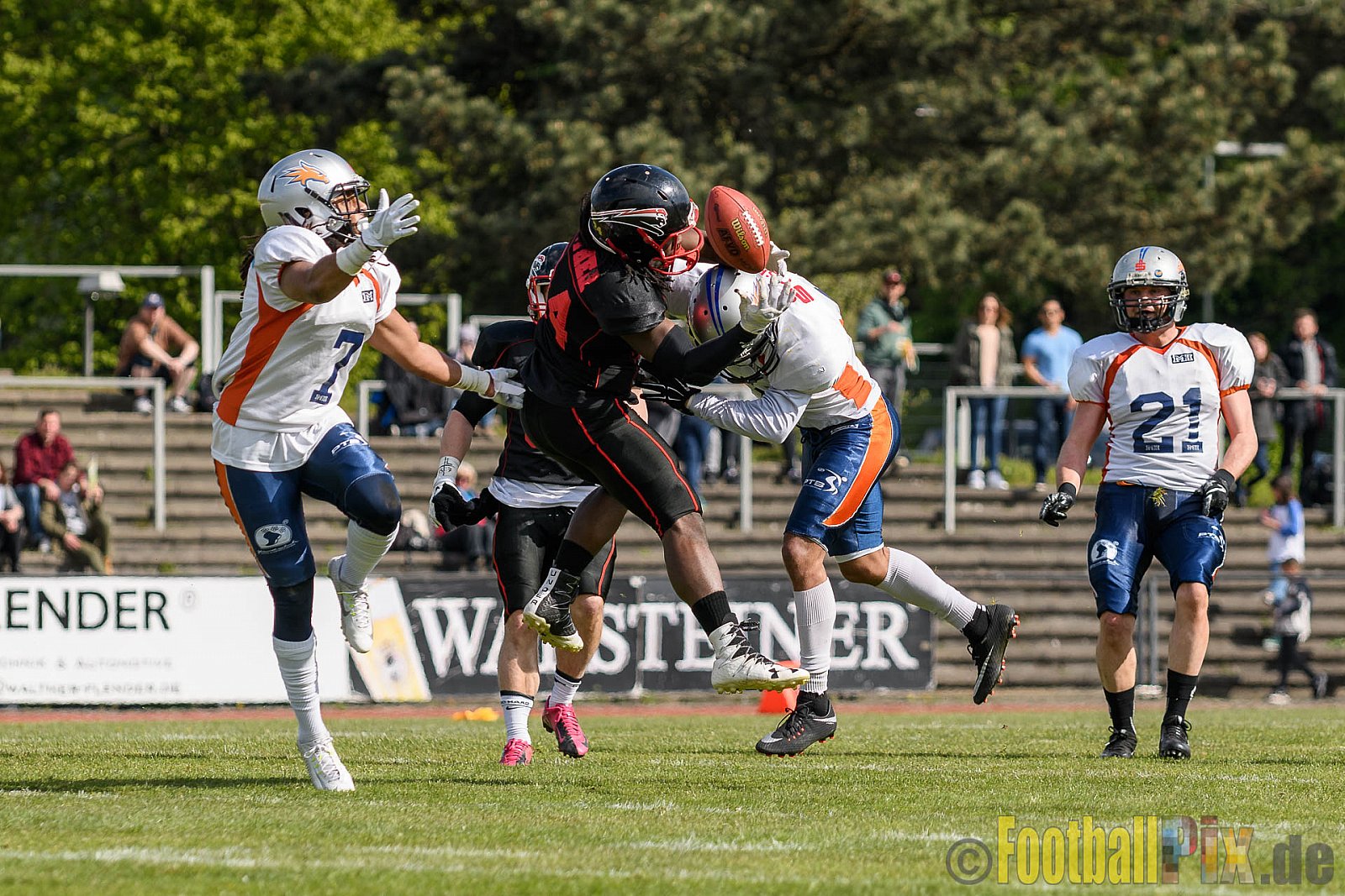 Düsseldorf Panther vs. Rostock Griffins - 29.04.2017 GFL2: Düsseldorf Panther vs. Rostock Griffins (39:14)