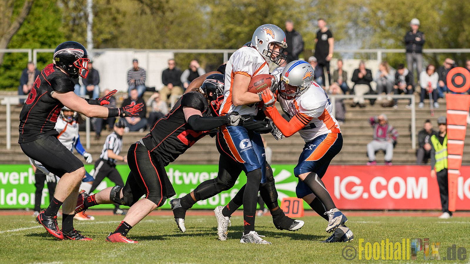 Düsseldorf Panther vs. Rostock Griffins - 29.04.2017 GFL2: Düsseldorf Panther vs. Rostock Griffins (39:14)