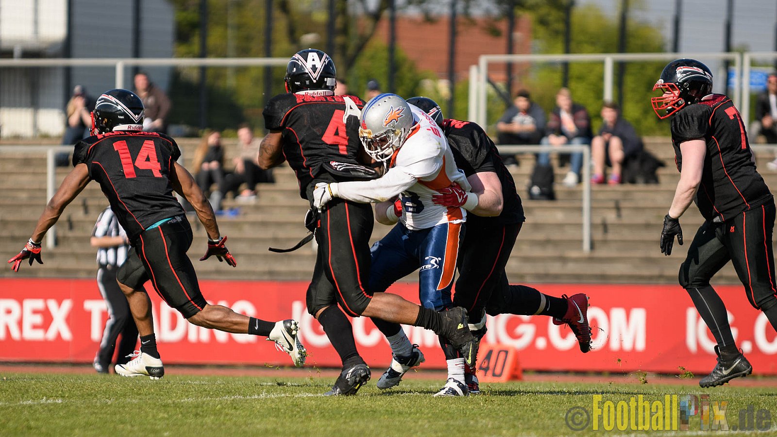 Düsseldorf Panther vs. Rostock Griffins - 29.04.2017 GFL2: Düsseldorf Panther vs. Rostock Griffins (39:14)