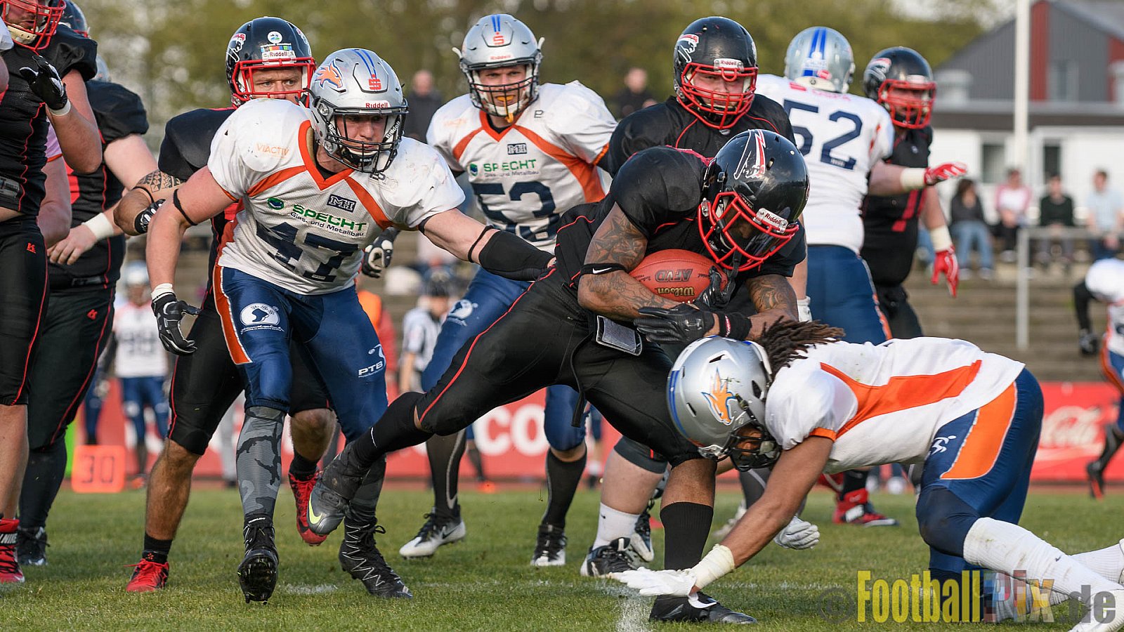 Düsseldorf Panther vs. Rostock Griffins - 29.04.2017 GFL2: Düsseldorf Panther vs. Rostock Griffins (39:14)