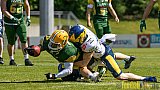 Cologne Crocodiles vs. Hildesheim Invaders - 30.04.2017 GFL Nord: Cologne Crocodiles vs. Hildesheim Invaders (41:26)