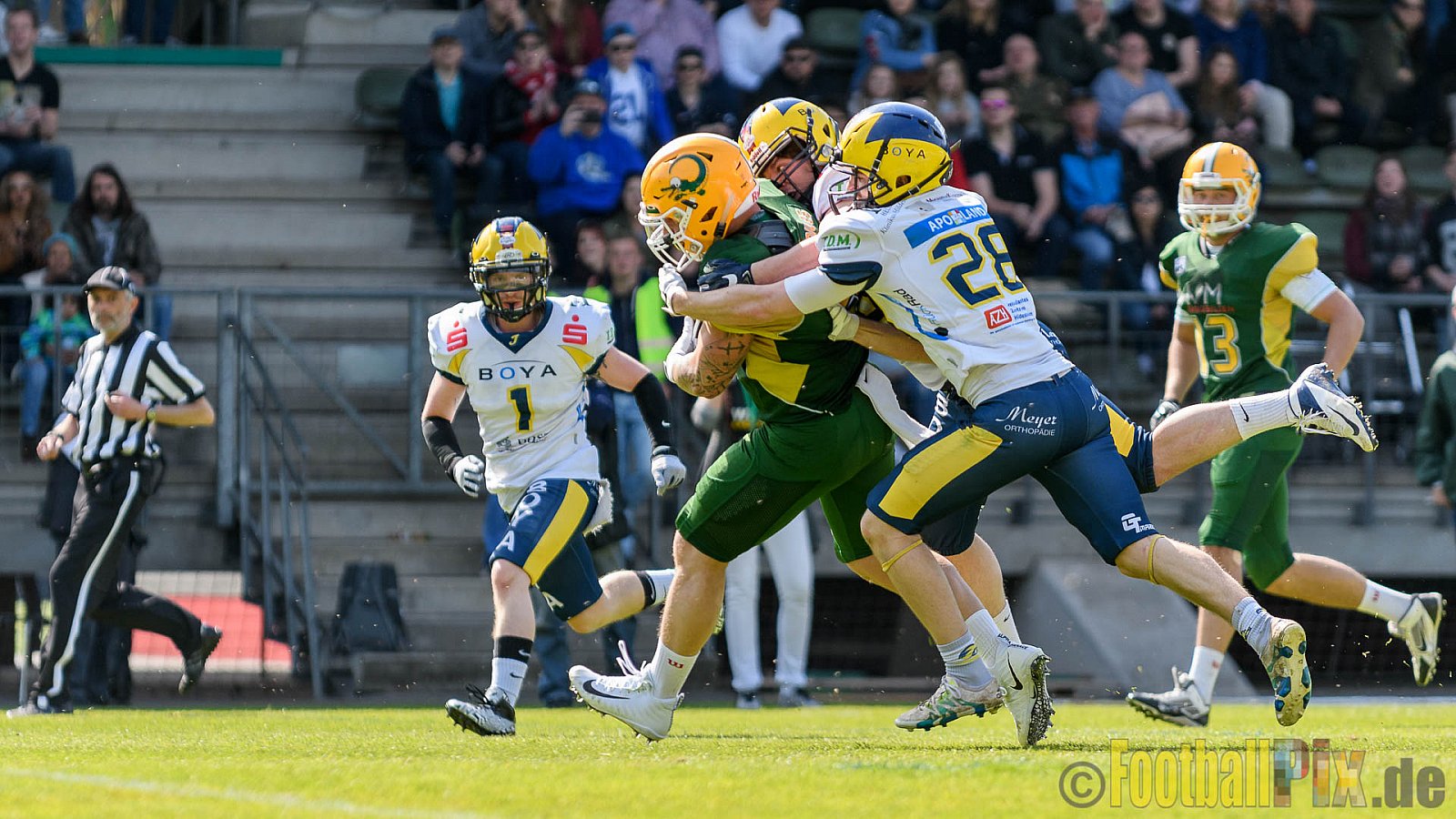 Cologne Crocodiles vs. Hildesheim Invaders - 30.04.2017 GFL Nord: Cologne Crocodiles vs. Hildesheim Invaders (41:26)