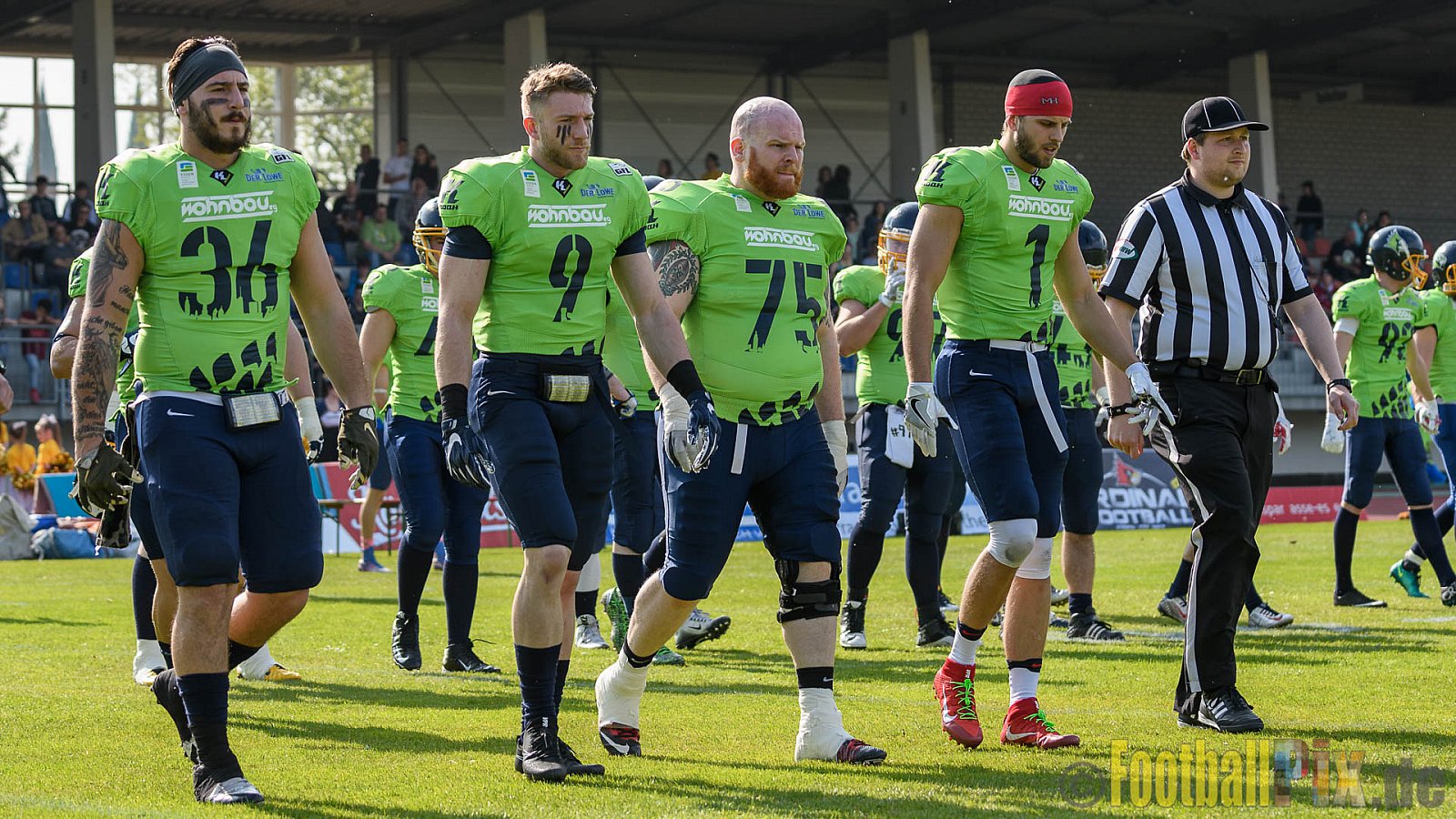 Essen Assindia Cardinals vs. Bonn Gamecocks - 06.05.2017 GFL2: Essen Assindia Cardinals vs. Bonn Gamecocks (35:18)